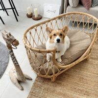 Lit en rotin naturel pour animaux SCAO