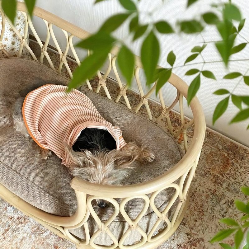 Lit en rotin naturel pour animaux SCAO