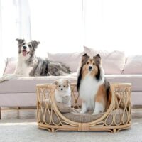Lit en rotin naturel pour animaux SCAO
