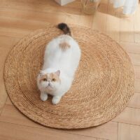 Tapis en rotin décoration naturelle circulaire